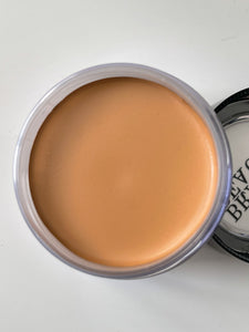 Picture Perfect Foundation